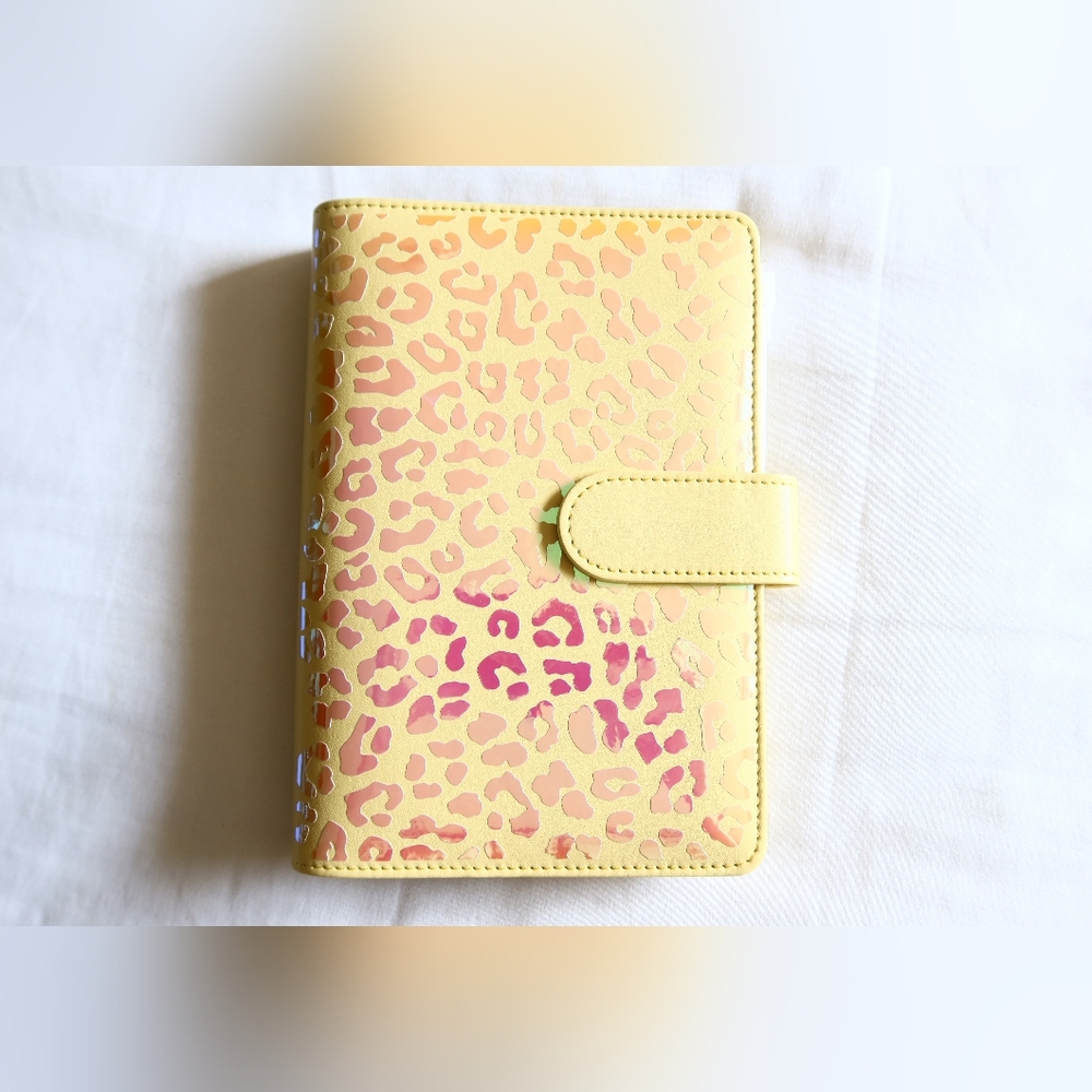 Budget Binder / Cash Stuffing / Leopard / Holographic / Cash Envelopes / Money